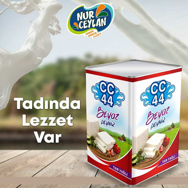 CC44 KLASİK PEYNİR TENEKE 17 KG TRAKYA USULÜ YUMUŞAK 